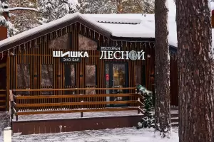 Фотография Лесной 0