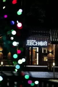 Фотография Лесной 5